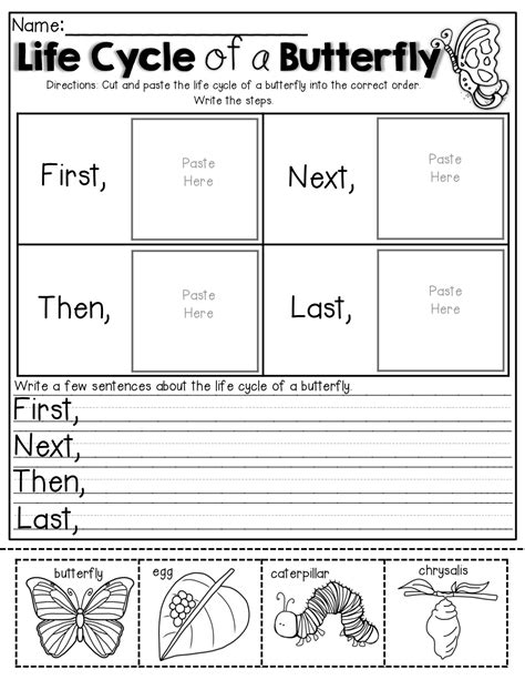 Life Cycle of a Butterfly and SO MUCH MORE! | Kindergarten science, 1st ...