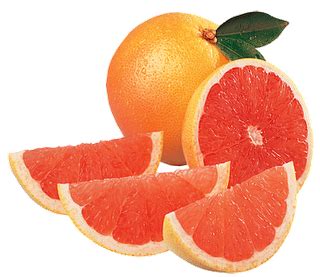 Sammi's Blog of Life: Florida Grapefruit Giveaway