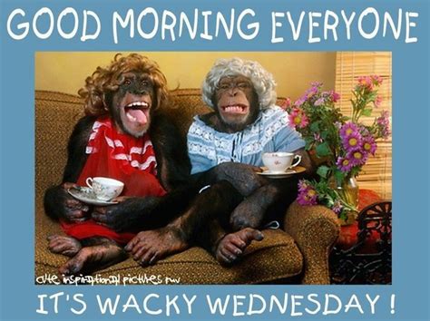 Wednesday Clipart Funny