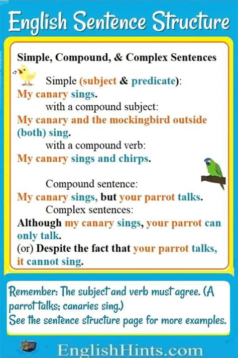 English Sentence Structure