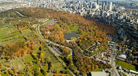 12 of the Best Things To Do in Montreal With Kids - The Family Vacation ...