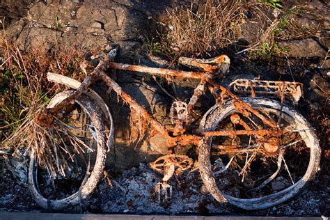 https://ragtimecyclist.files.wordpress.com/2013/11/rusty-bike-s8an.jpg ...