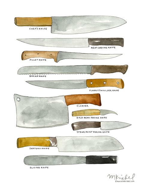 Kitchen Knives / Various Types of Chef's Blades Diagram | Etsy