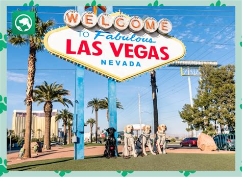 The Best Pet Friendly Hotels in Las Vegas: 7 Top Choices - Richard Rowlands