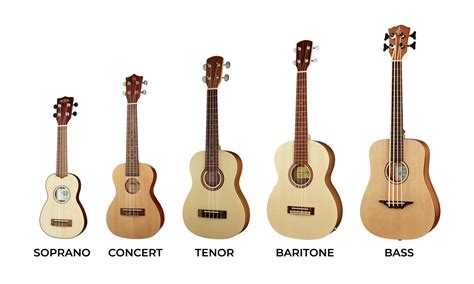 The Definitive Guide to Sizes and Shapes Of Ukuleles | Yousician