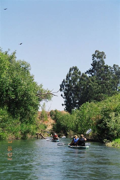 Russian River Kayak Tour River Kayaking, Kayak Tours, Clean Water ...