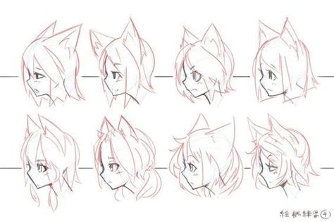 Anime Cat Ears Reference Realistic domesticated feline ear tutorial by ...