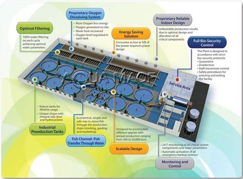 Intensive Farming Fish - Farm House