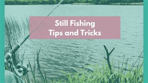 Still Fishing: Tips, Techniques, Bottom, Floats - RangetoReel