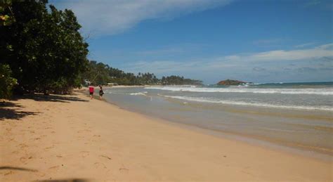 Paradise Beach Club Mirissa - Holidays Sri Lanka