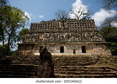 Mayan Ancient Pyramid Structure 33 Yaxchilan Stock Photo 1051343612 ...