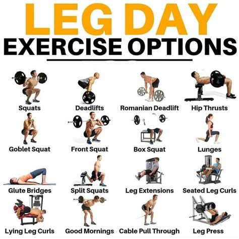 Leg Day Options | Leg workouts gym, Best leg workout, Gym workouts for men