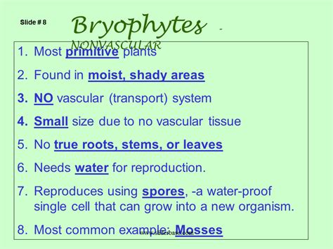 Plant Divisions - Presentation Plants, Animals, and Ecosystems