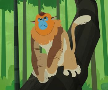 Golden Snub-nosed Monkey | Wild Kratts Wiki | Fandom