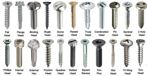 A Practical Guide to Types Of Screw Heads