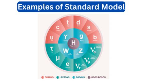 10 Examples of Standard Model