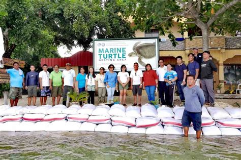 PIA - DENR opens Pawikan nesting site in Palauig