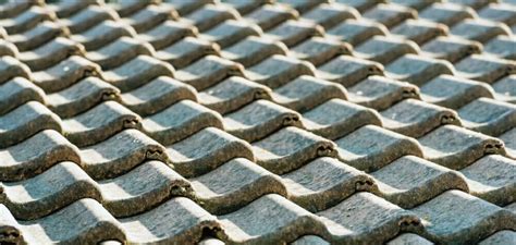 Choosing Between Clay and Concrete Roof Tiles | Harbor Roofing