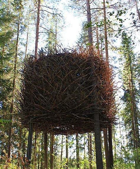 Bird’s Nest Tiny House: One Way to Get By Zoning | Tree house designs ...