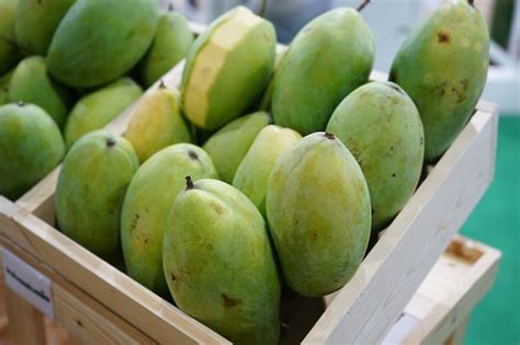 Resep Manisan Mangga Muda, Asam Manis Menggoyang Lidah