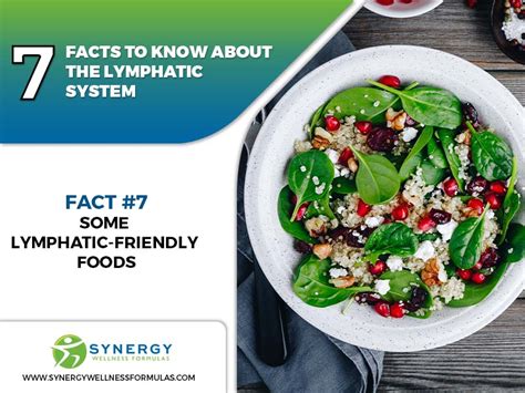 7 Facts To Know About The Lymphatic System - Synergy Wellness Formulas