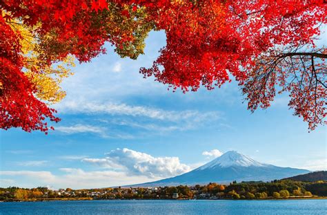 Fujiyama Full HD Wallpaper and Background | 2880x1892 | ID:541267