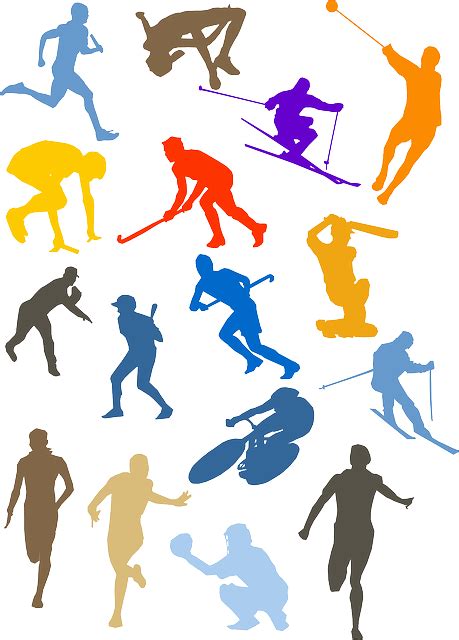 Download Baseball, Bicycle, Cricket. Royalty-Free Vector Graphic - Pixabay