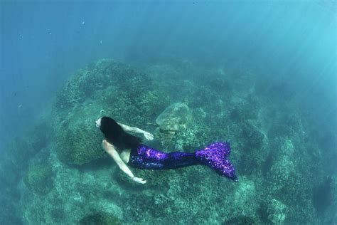 View Of Mermaid Swimming In Ocean Photograph by Panoramic Images - Pixels