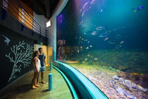 Ingang Interactief Aquarium Cancun | GetYourGuide