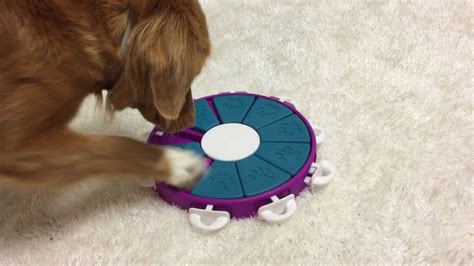 10 Best Puzzle Toys that Actually Help Bored Dogs | The Dog People by ...