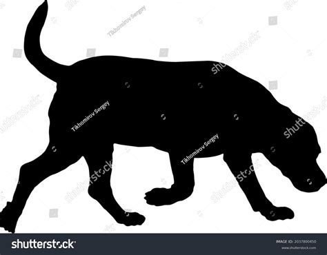 Black Dog Silhouette Walking Snifiing English Stock Vector (Royalty ...