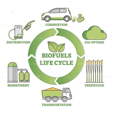 Biofuel life cycle diagram as production, consumption process outline ...