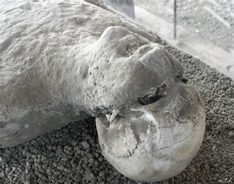 14 Agonizing Photos Of Pompeii’s Bodies Frozen In Time - Mr-Mehra