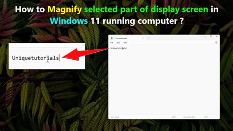 How to Magnify selected part of display screen in Windows 11 running ...