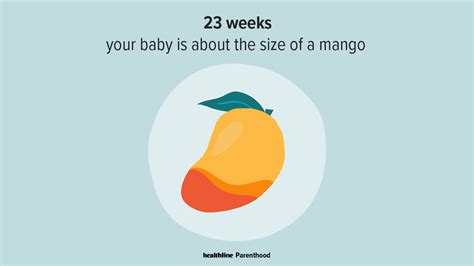 23 Weeks Pregnant: Symptoms, Tips, and More