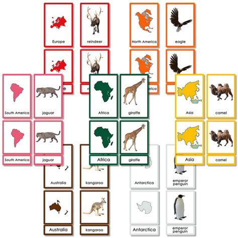 Animals Of Seven Continents Part Cards PP Plastic