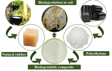 Natural Polymers