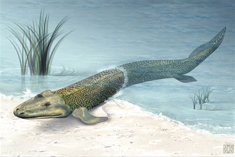 Devonian Period: Climate, Animals & Plants | Live Science