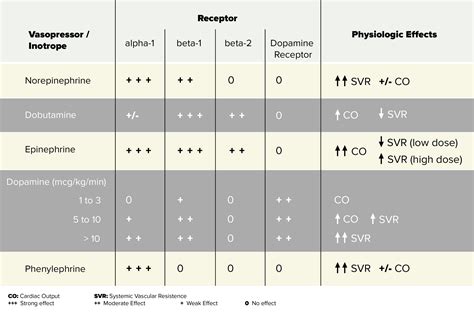 Vasopressor Receptors Chart Printable