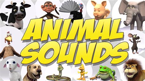 Learn Animal Sounds - YouTube