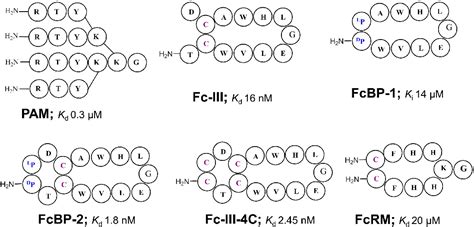 Figure 1 from Fc-Binding Ligands of Immunoglobulin G: An Overview of ...