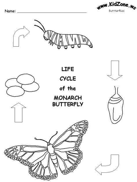 Gambar Butterfly Life Cycle Worksheet Kidzone Coloring Pages di Rebanas ...