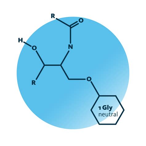 Cerebroside Structure