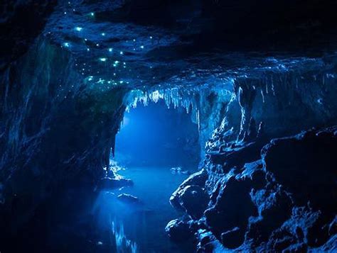 Waitomo Glowworm Caves | Waitomo | New Zealand | AFAR