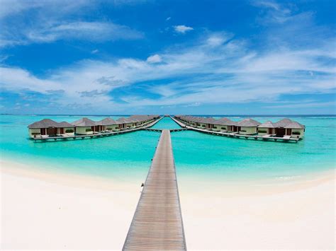 Paradise Island Resort & Spa in Maldives Islands - Room Deals, Photos ...