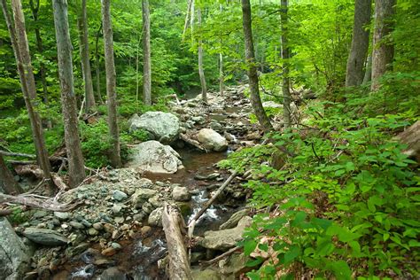 12 Best Hikes in Shenandoah National Park - The Planet D