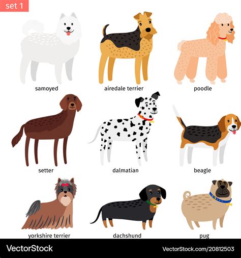 Dog breeds cartoon icon Royalty Free Vector Image