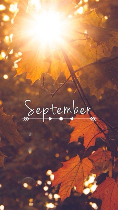 ↬@queenboldon ♬ ♡ September Wallpaper, Iphone Wallpaper Herbst, Fall ...