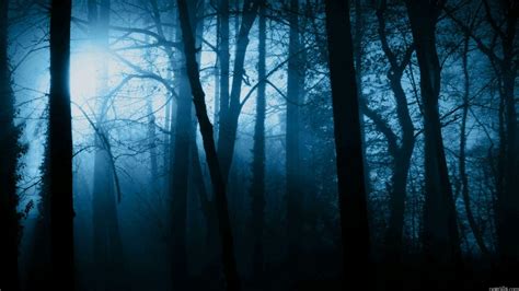 Spooky Forest Wallpaper