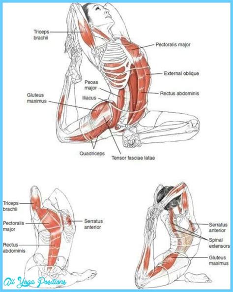 Pigeon Pose Yoga Benefits - AllYogaPositions.com